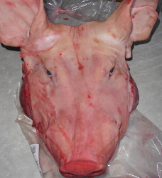 Tête de cochon